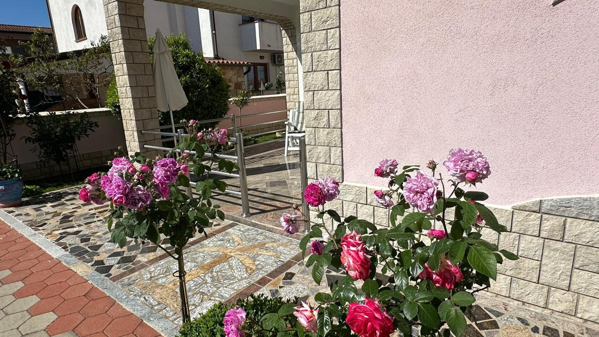 Villa Baldi -Apartmani Danny Tar-Vabriga Exterior foto