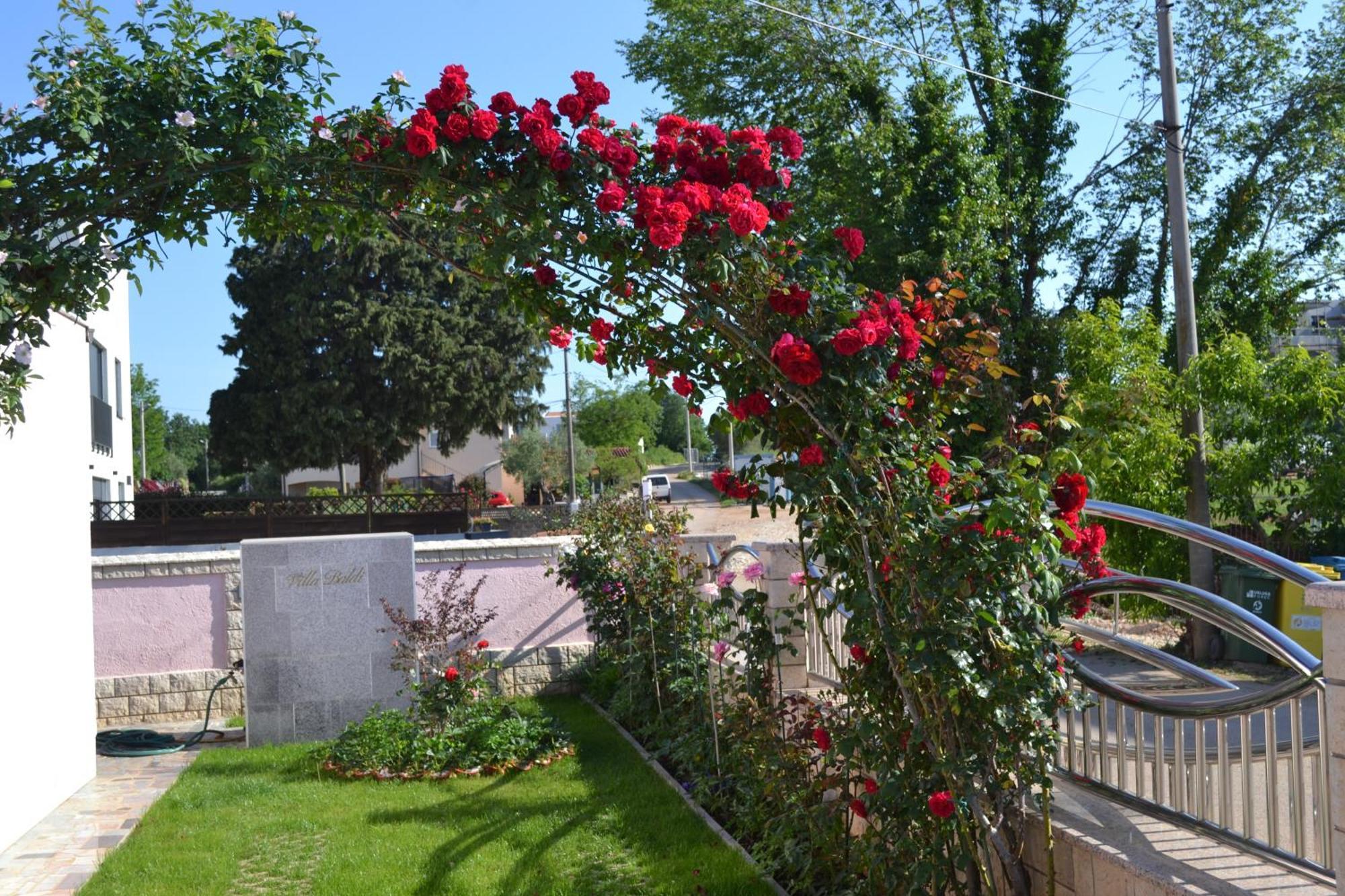 Villa Baldi -Apartmani Danny Tar-Vabriga Exterior foto